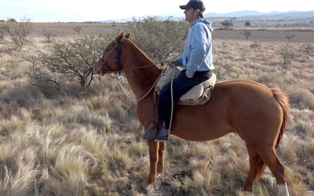 Domingo à cheval